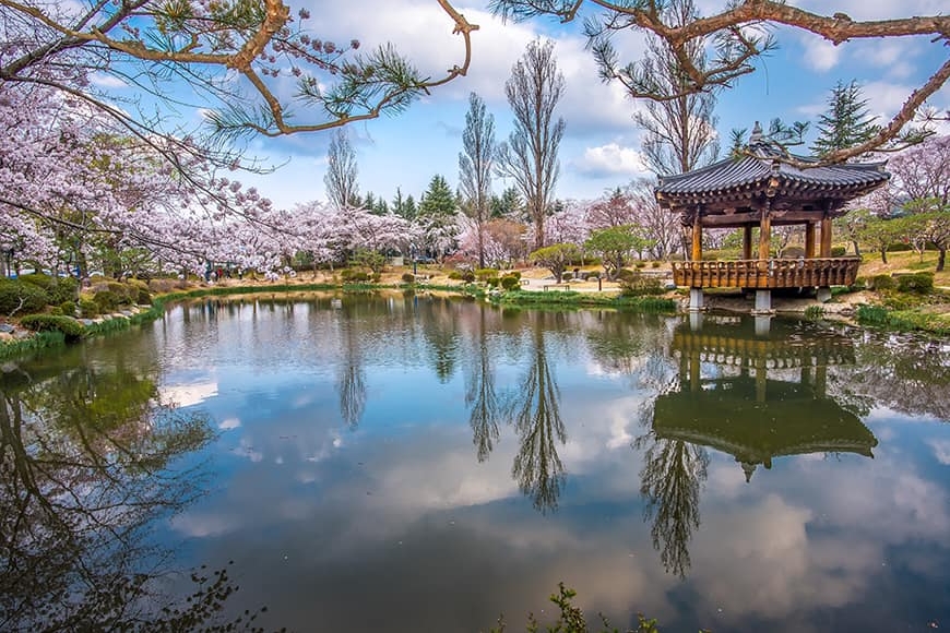 Park Gyeongju to malownicze miejsce pełne spokoju obok małych jezior i pięknych zabudowań wśród krętych alejek.