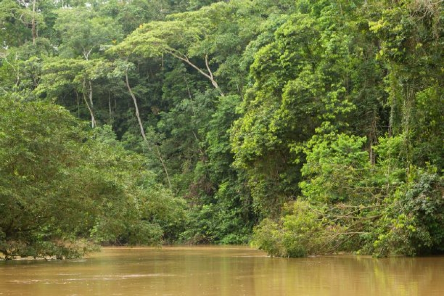 Manaus – amazońskie eldorado