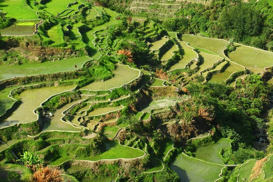 Dlaczego tarasy ryżowe w Banaue to „ósmy cud świata”?