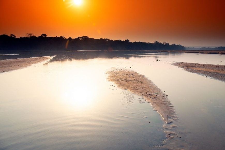 Dzanga-Sangha: cuda natury w sercu lasu równikowego