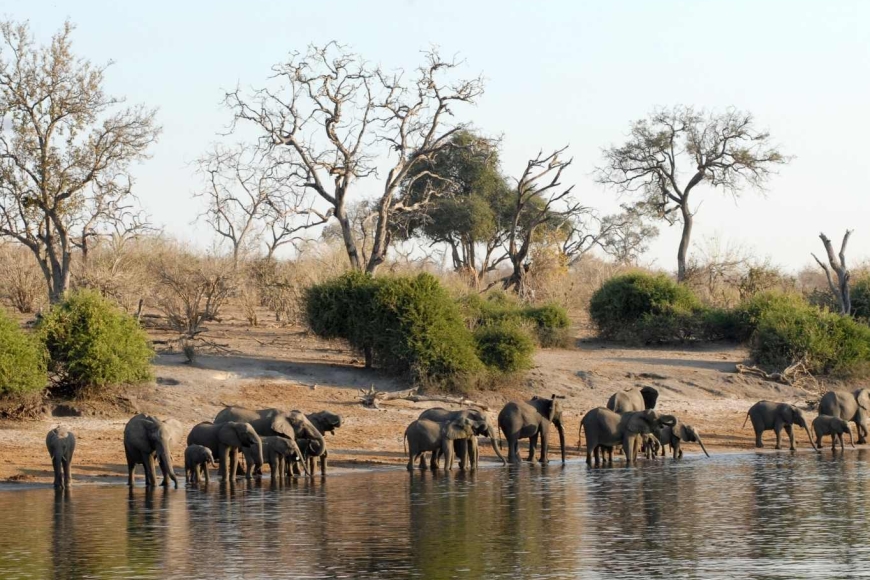 Park Narodowy Chobe