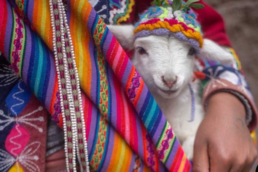 Bogactwo Peru