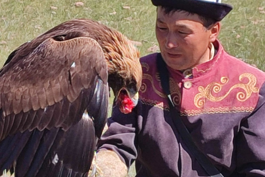 polowanie z orłami