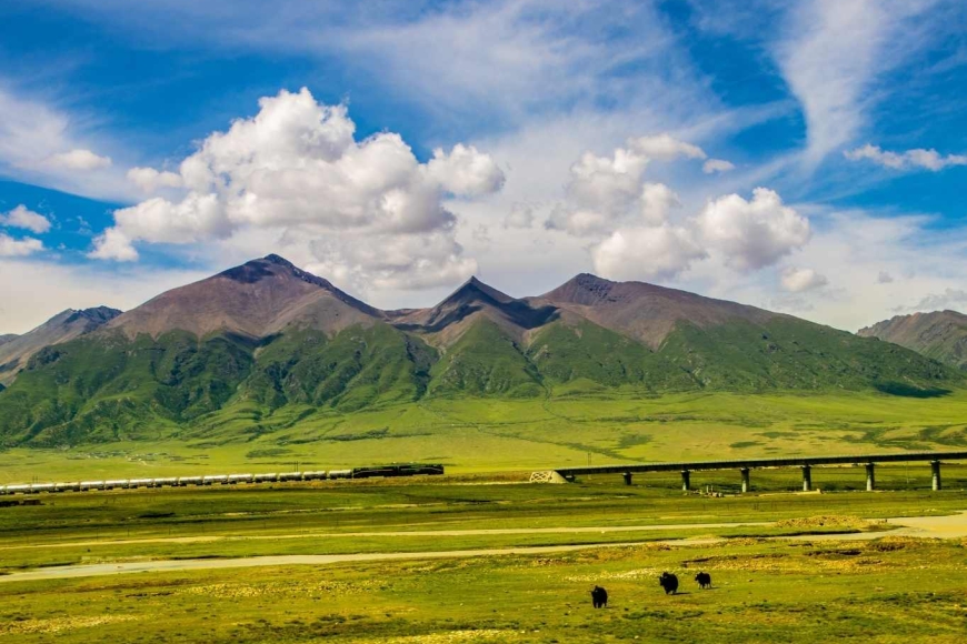 kolej Qinghai–Tybet / Qingzang