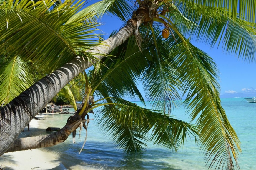 Bora Bora - rajska wyspa Polinezji