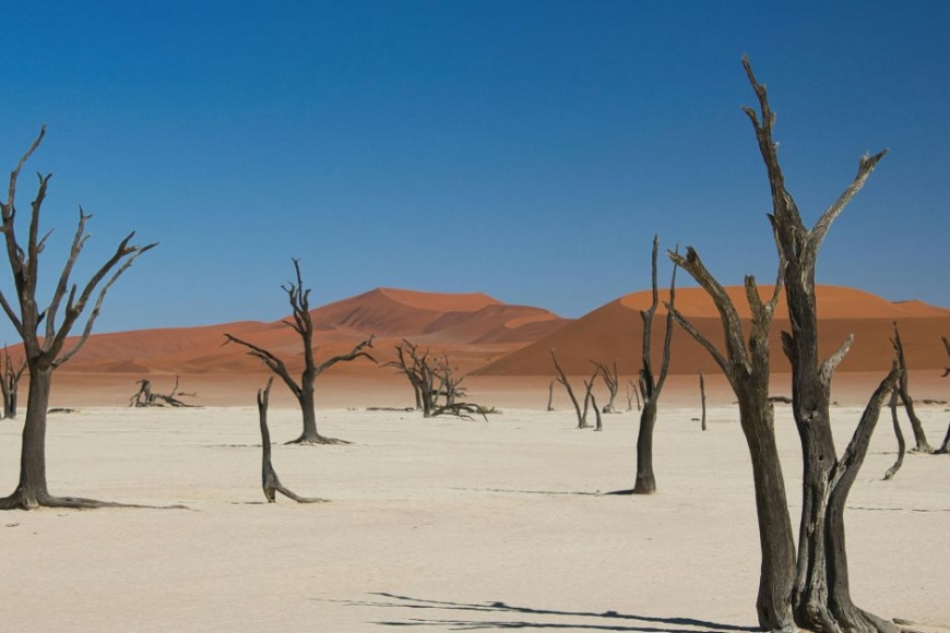 Sossusvlei - wydmy Namibia , wycieczki z Prestige Tours