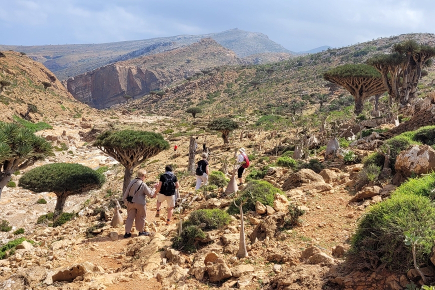 Sokotra trekking