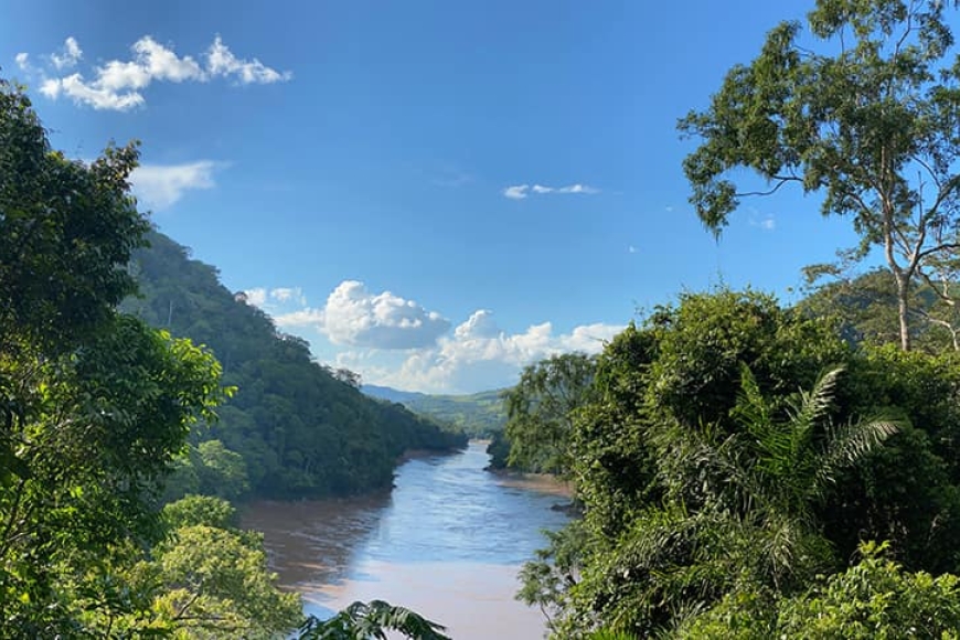 Amazonia – zielone płuca Ziemi i tajemnice dżungli
