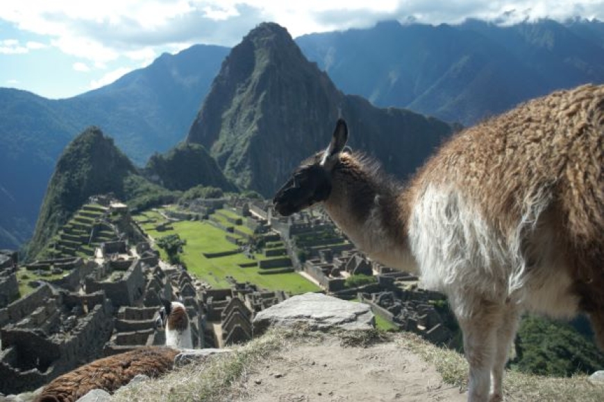 Machu Picchu