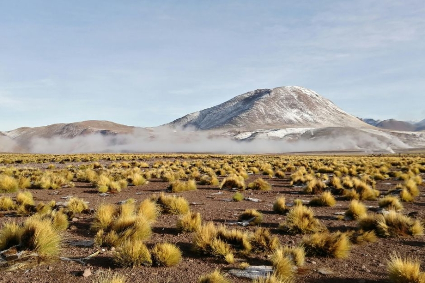 Boliwijskie Altiplano - wycieczka z Prestige Tours