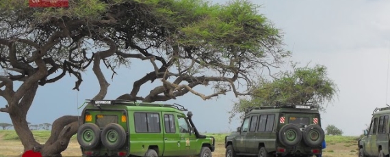 Kenia, Tanzania, Zanzibar - wycieczka - film