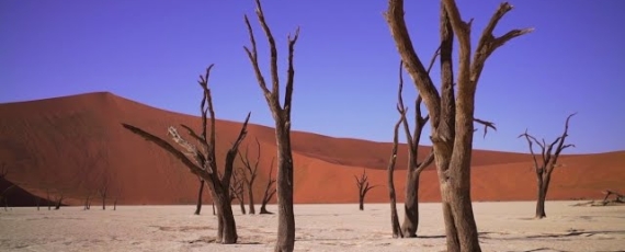 Namibia wakacje - film