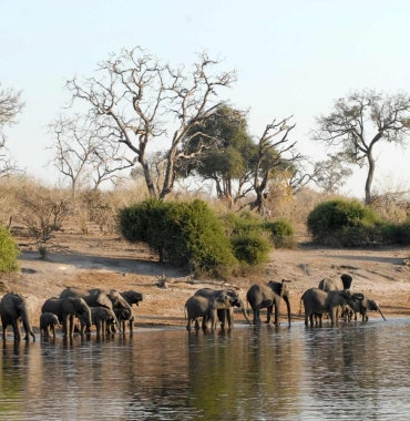 Park Narodowy Chobe