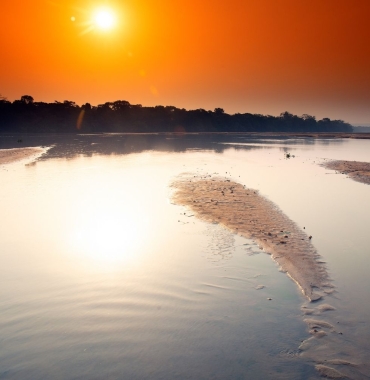 Dzanga-Sangha: cuda natury w sercu lasu równikowego