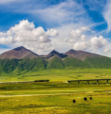 kolej Qinghai–Tybet / Qingzang
