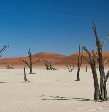 Sossusvlei - wydmy Namibia , wycieczki z Prestige Tours