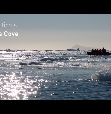 Naturalne fenomeny zatoki  w Antarktyce
