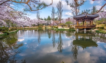 Park Gyeongju to malownicze miejsce pełne spokoju obok małych jezior i pięknych zabudowań wśród krętych alejek.