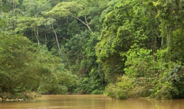 Manaus – amazońskie eldorado