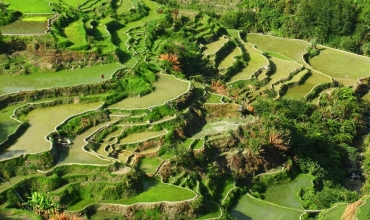 Dlaczego tarasy ryżowe w Banaue to „ósmy cud świata”?