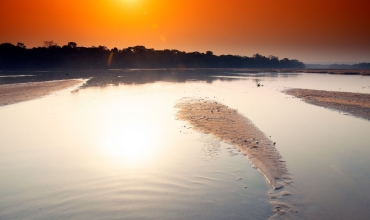 Dzanga-Sangha: cuda natury w sercu lasu równikowego