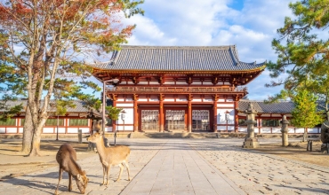 Nara – starożytne serce kulturowe Japonii