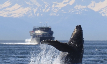 rejs Alaska i Zachodnia Kanada