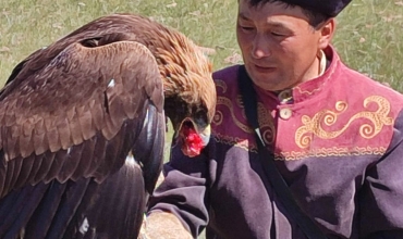 polowanie z orłami