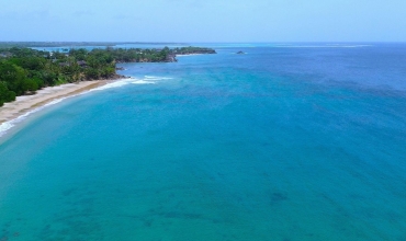 Laguny Tobago