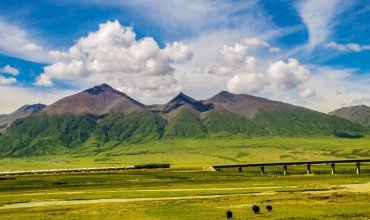 kolej Qinghai–Tybet / Qingzang