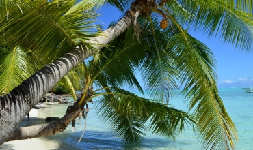 Bora Bora - rajska wyspa Polinezji
