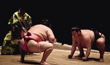 Sumo