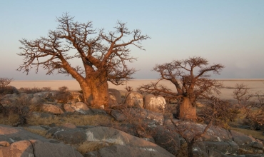 Botswana - najlepsze Safari w Afryce