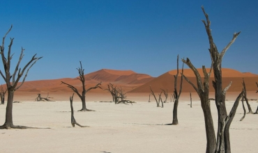 Sossusvlei - wydmy Namibia , wycieczki z Prestige Tours