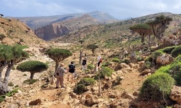 Sokotra trekking