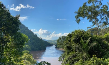 Amazonia – zielone płuca Ziemi i tajemnice dżungli