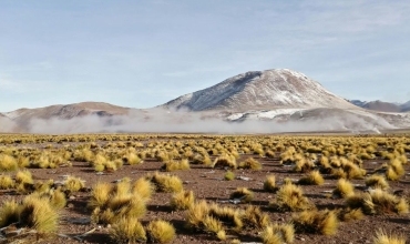 Boliwijskie Altiplano - wycieczka z Prestige Tours