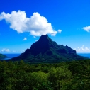 Moorea – tropikalny raj Polinezji Francuskiej, który musisz odwiedzić