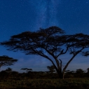 Noc w Serengeti – jak naprawdę wygląda nocleg w namiocie safari?