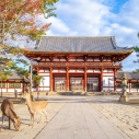 Nara – starożytne serce kulturowe Japonii