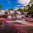 Rzeka Tęczowa - Kolumbia – Caño Cristales, najbardziej kolorowa rzeka świata
