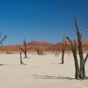 Sossusvlei - wydmy Namibia , wycieczki z Prestige Tours