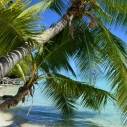 Bora Bora - rajska wyspa Polinezji