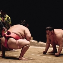 Zapasy sumo w Japonii – kompletny przewodnik