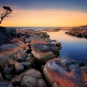 Tasmania – unikatowa przyroda i krajobrazy Australii