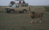 KENIA TANZANIA Z WYPOCZYNKIEM NA ZANZIBARZE 16 DNI