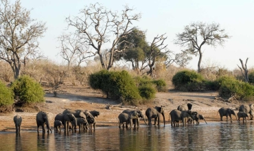 Park Narodowy Chobe
