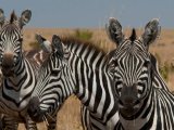 KENIA TANZANIA Z WYPOCZYNKIEM NA ZANZIBARZE 16 DNI #7