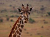 KENIA TANZANIA Z WYPOCZYNKIEM NA ZANZIBARZE 16 DNI #9