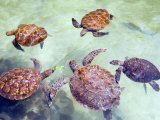 KENIA TANZANIA Z WYPOCZYNKIEM NA ZANZIBARZE 16 DNI #17